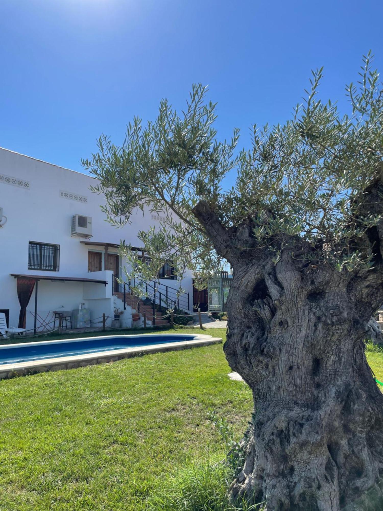 Casa Rural El Miajon Villa El Campo  Bagian luar foto