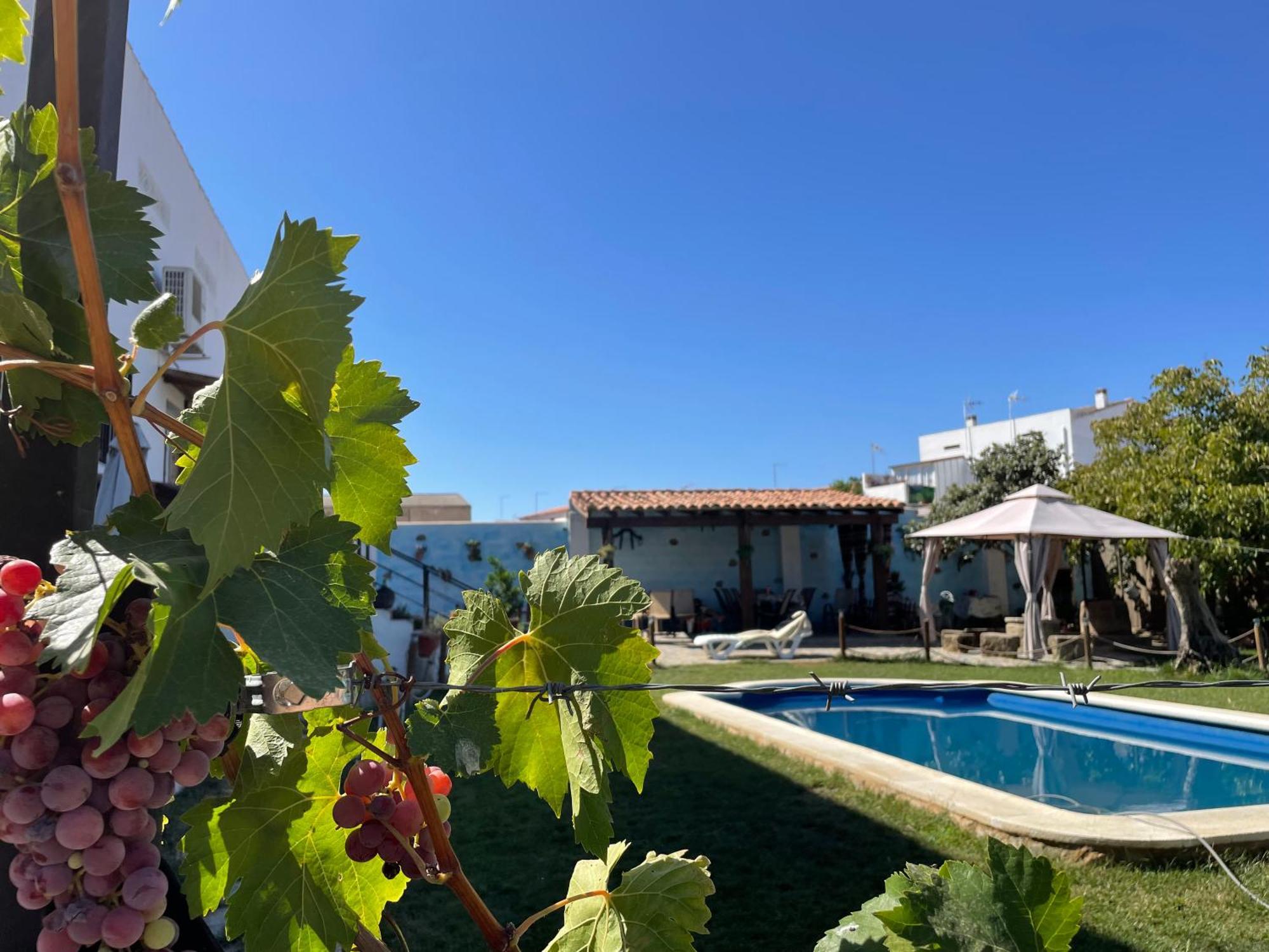 Casa Rural El Miajon Villa El Campo  Bagian luar foto