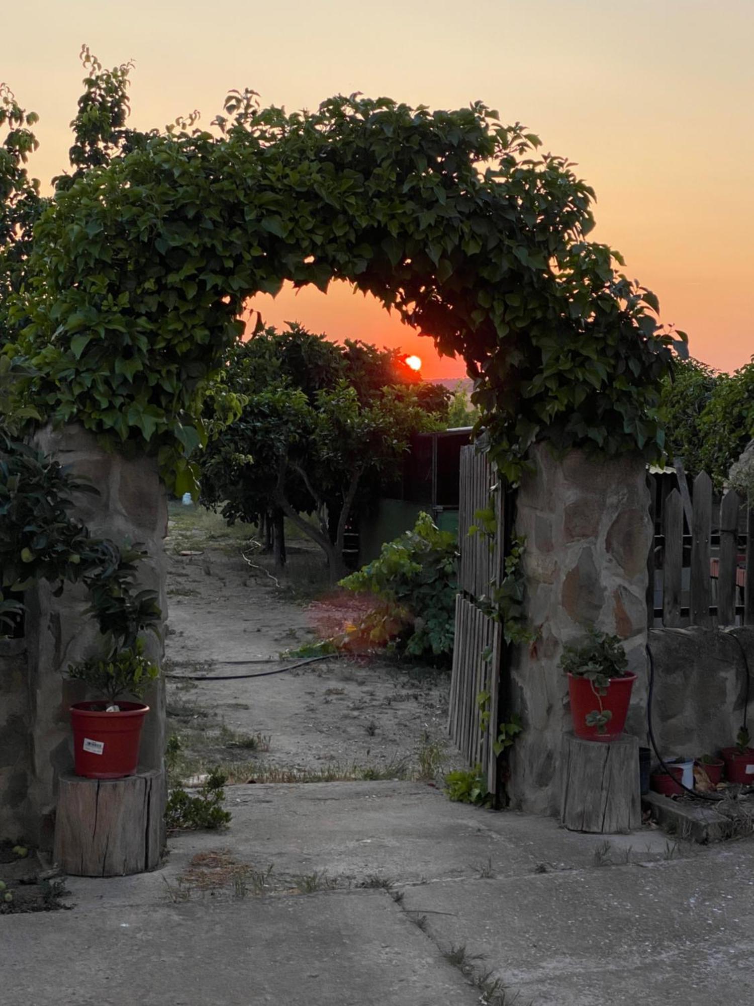 Casa Rural El Miajon Villa El Campo  Bagian luar foto